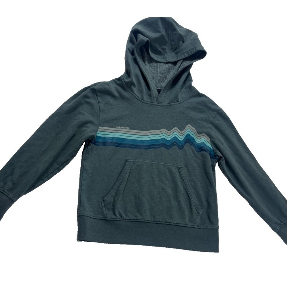 PATAGONIA Youth Gray Long Sleeve Graphic Hoodie Sweatshirt - Kids Size Large